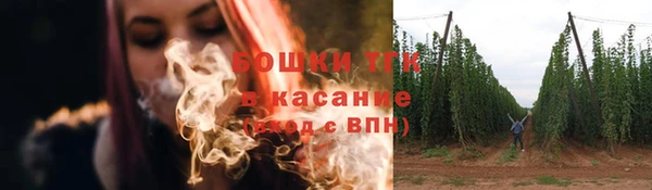 спиды Горняк