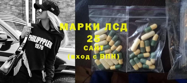 спиды Горняк