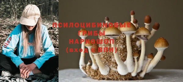 спиды Горняк